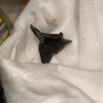 Kapalı Garnitür Kutusunda Şüpheli Oluşum!