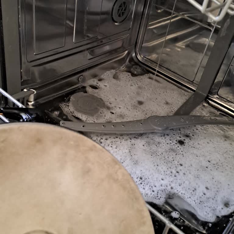 Bingo Pro Max Bulaşık Tabletinde Aşırı Köpürme Ve Hayal Kırıklığı