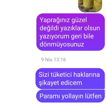 Aldığım Üzüm Yaprağı Pişmiyor Ve Kötü Kokuyor
