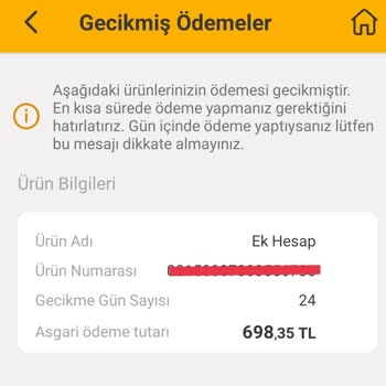 VakıfBank Ek Hesap Faizi Otomatik Çekildiği Halde Gecikme Olarak Görünüyor