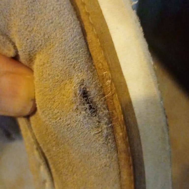 Kısa Sürede Yırtılan Ayakkabı İçin İade Sorunu