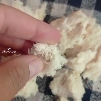 Liva Ekmek Yapamıyor, İçinde Topak Topak Şeyler Çıkıyor
