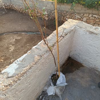 Siparişim Eksik Ve Hasarlı Geldi, Ekstra Ücret Alındı