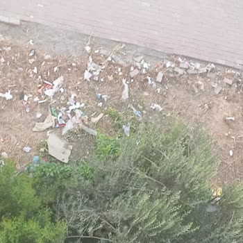 Mahallemize Yeterli Özen Gösterilmiyor