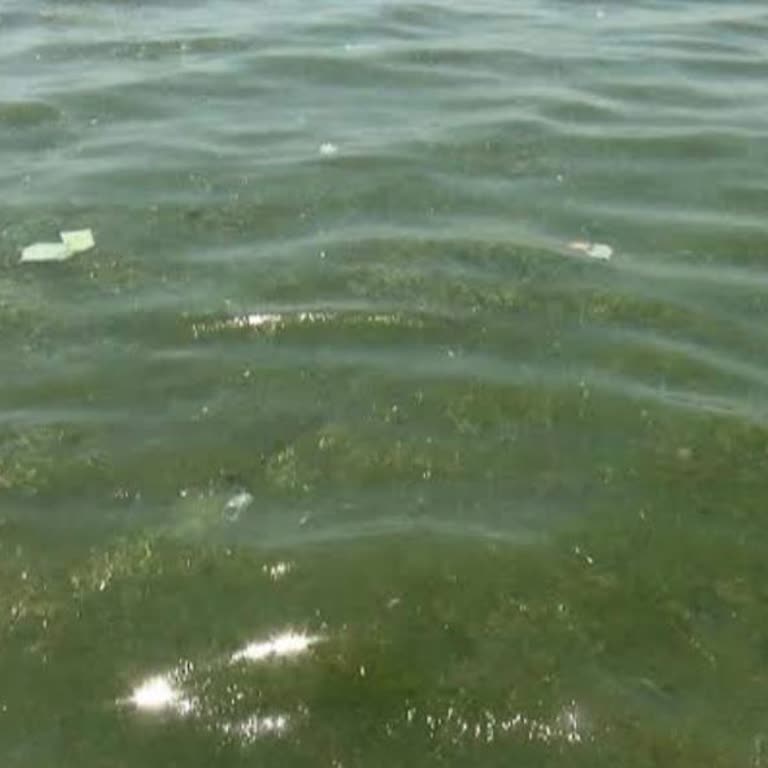 Ata Plaj & Caffe Florya Yaşanan Olumsuz Deneyimler Ve Hizmet Sorunları