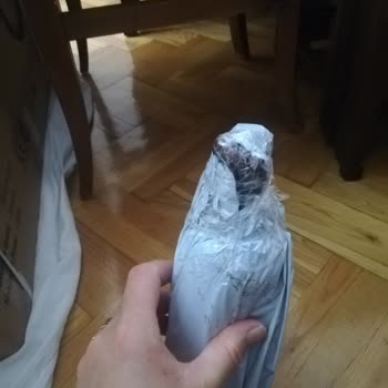 Yırtık Ve Geç Gelen Kargo, Pis Şube!