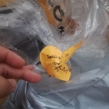 Yırtık Ve Geç Gelen Kargo, Pis Şube!