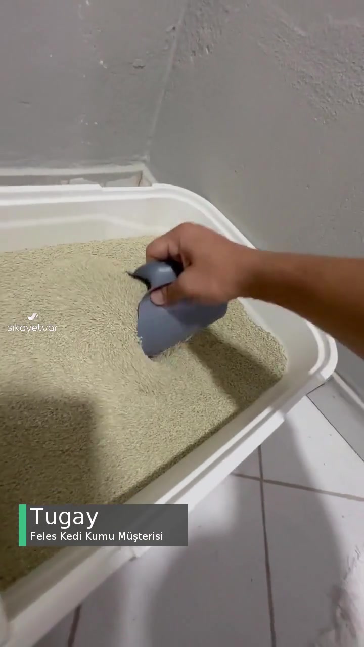 Feles Kedi Kumları Tozlu! videonun kapak resmi