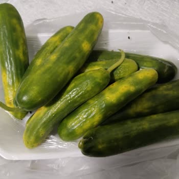 Migros Hemen'den Eksik Ve Bozuk Ürün Teslimatı, Çözüm Sunulmuyor