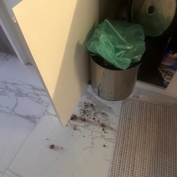 Aldığım Ürünlerin Sürekli Hatalı Çıkması Ve Kalitesizlik