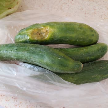 Şok Marketler Eksik Ve Çürük Ürünlere Karşı İlgisiz Müşteri Hizmetleri