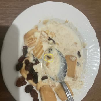 Kuru Üzümden Çıkan Böcek Şoku: Sağlığımız Tehlikede!