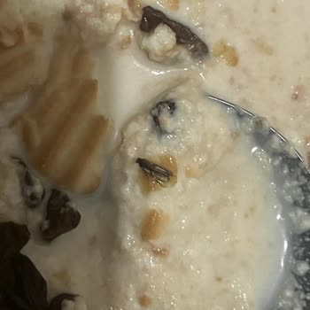 Kuru Üzümden Çıkan Böcek Şoku: Sağlığımız Tehlikede!