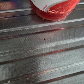 Aldığım Makarnalar Böcekli Çıktı, İade Kabul Edilmiyor