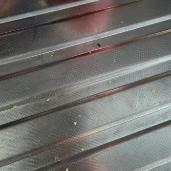 Aldığım Makarnalar Böcekli Çıktı, İade Kabul Edilmiyor