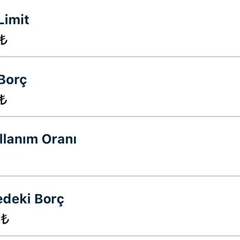 Borçlar Kapandıktan Sonra Gecikme Kaydının Silinmemesi Mağduriyet Yaratıyor