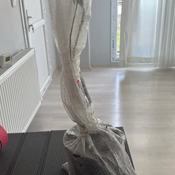 Alz Garden Sipariş Edilen Fide İle Gelen Ürün Arasındaki Büyük Fark Hayal Kırıklığı Yarattı