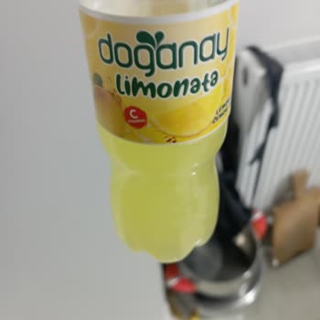 Tarihi Geçmiş Limonata Satışı Ve Sağlık Riski