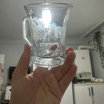 Bosch Bulaşık Makinesi Bardaklarımı Mahvetti