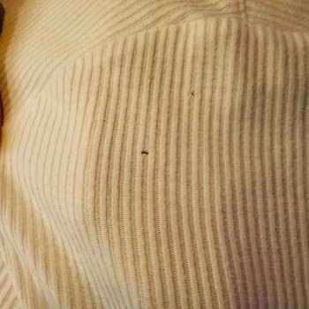 Etiket Eksikliği Nedeniyle Ürün İncelemesi Yapılmadı