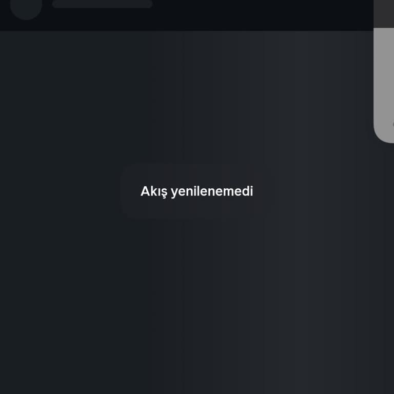 Instagram Hesabıma Günlerdir Giriş Yapamıyorum