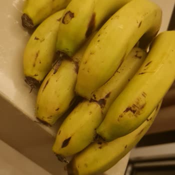 Yanlış Ürün Gönderimi Ve İade Sürecindeki Gecikme Hayal Kırıklığı Yarattı