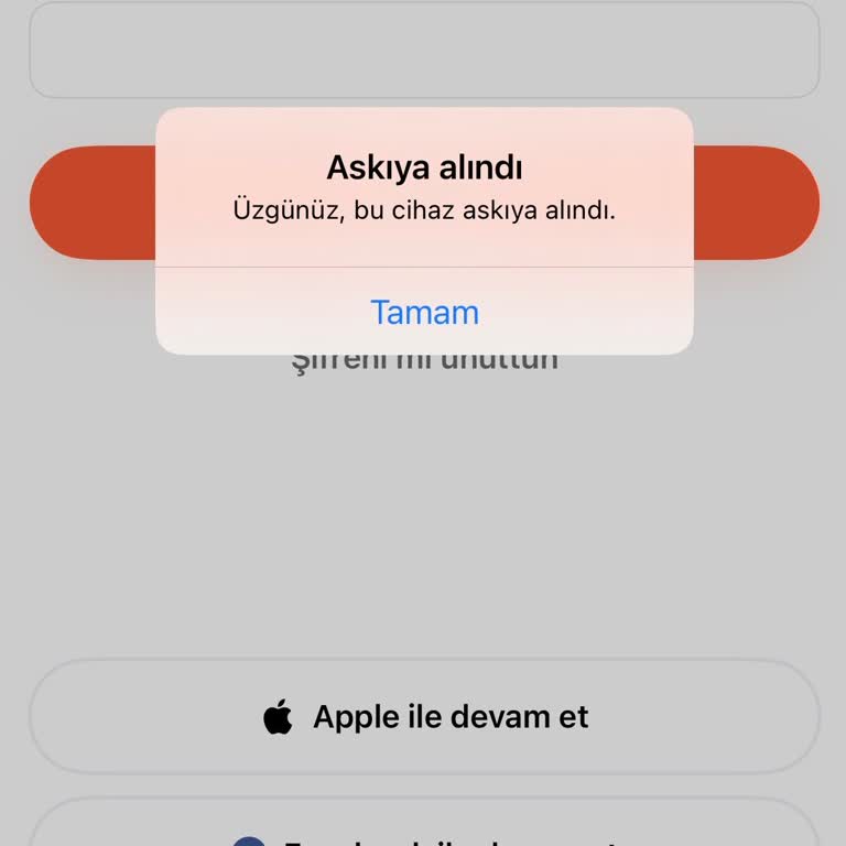 Hornet Hesabımın Askıya Alınma Nedeni Hakkında Yardım Talebi