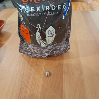 Çekirdek Paketinden Çıkan Kavrulmuş Salyangoz Şoku