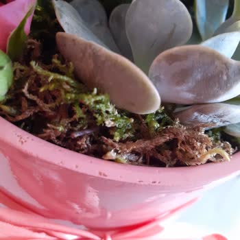 Çiçek Sepeti'nden Gelen Ürün Görselle Uyuşmuyor Ve Kusurlu