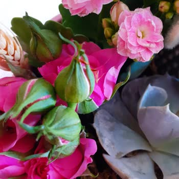 Çiçek Sepeti'nden Gelen Ürün Görselle Uyuşmuyor Ve Kusurlu