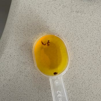 Argivit Focus Şişesinde Siyah Noktalar Ve Müşteri Hizmetlerinden Dönüş Yok