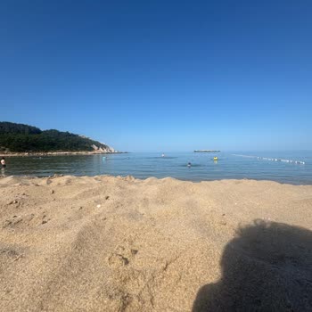 Çamlıköy Tabiat Parkında Personel İlgisizliği Ve Kabalığı