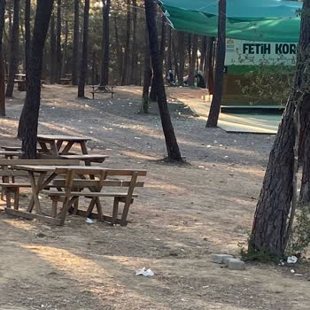 Fetih Korusu'nda Şenlik Sonrası Çevre Kirliliği Ve Gürültü Sorunu