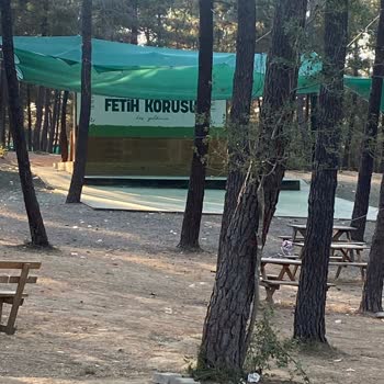 Fetih Korusu'nda Şenlik Sonrası Çevre Kirliliği Ve Gürültü Sorunu