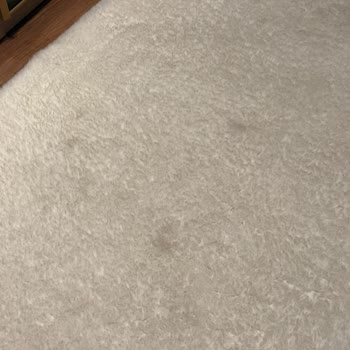 Halı Temizliği Hayal Kırıklığı: Lekeler Çıkmadı, Halı Sökük Geldi