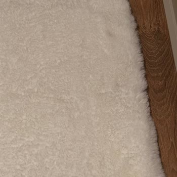 Halı Temizliği Hayal Kırıklığı: Lekeler Çıkmadı, Halı Sökük Geldi