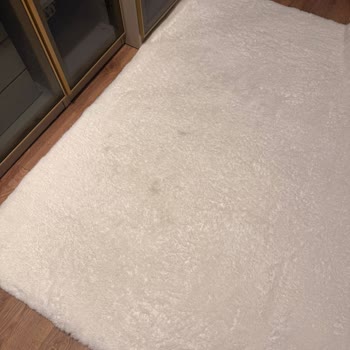 Halı Temizliği Hayal Kırıklığı: Lekeler Çıkmadı, Halı Sökük Geldi