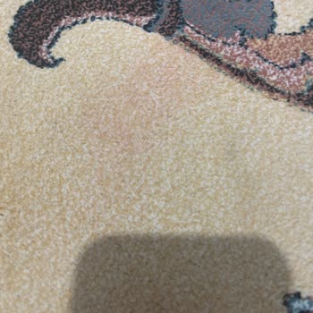 Tek Tem Halı Yıkama Lekeli Halı Getirdi Tekrar Yıkamak İçin Ücret İstiyor