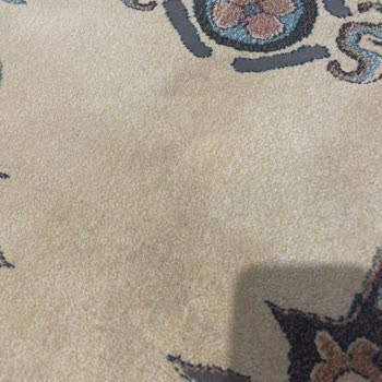 Tek Tem Halı Yıkama Lekeli Halı Getirdi Tekrar Yıkamak İçin Ücret İstiyor