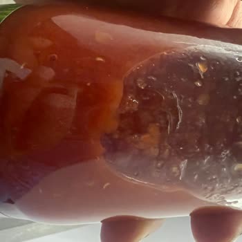 Tat Gıda Domates Püresinde Kurt Çıkmasıyla Yaşanan Hayal Kırıklığı