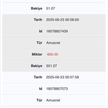 Hesabımdan Bilgim Dışında Alım Yapıldı Ve Bakiyem Eksildi