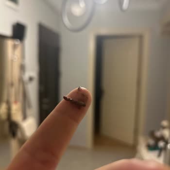 Nutella'nın İçinden Plastik Parça Çıkması