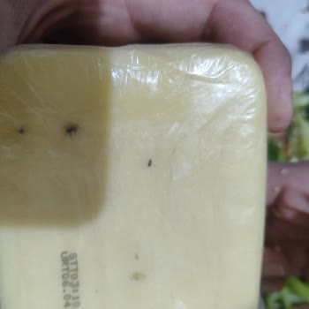 Tarihi Geçmemiş Kaşar Peynirinin Bozuk Çıkması