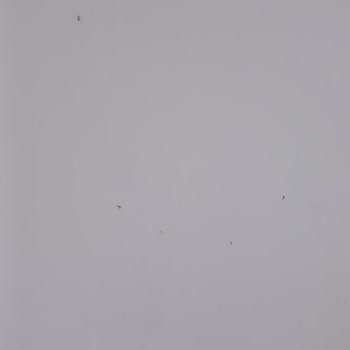 Çocuk Acil Servisinde Hijyen Ve Konfor Sorunu