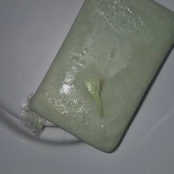 Özyurt Kimya Sabun İçinden Poşet Çıkması