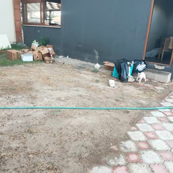 Royal Beach Club Hotel Çok Pişman Oldum