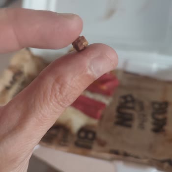 Yemeğimden Çıkan Çakıl Taşı Ve Para İadesi Sorunu