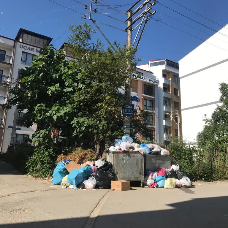 Giresun Teyyaredüzü Mahallesi'nde Çöp Toplama Sorunu Ve Kötü Koku Şikayeti