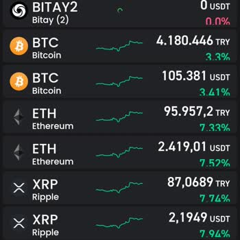 Bitay'da 2 Yıldır Satılamayan Coinler Ve Destek Sorunu