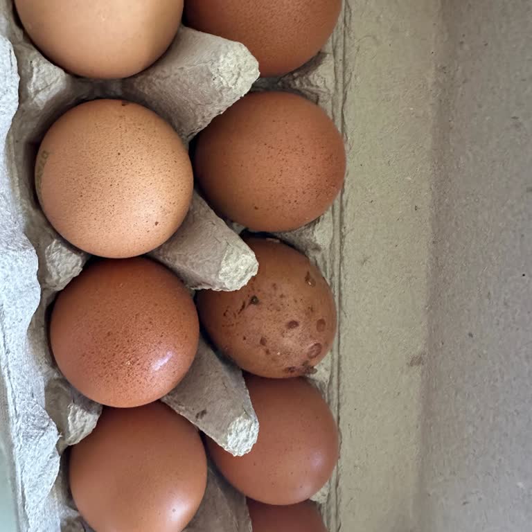 Migros Sanal Marketten Gelen Bozuk Ve Kurtlu Yumurta İçin İade Yapılmadı